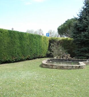 Taille de haie et Rabattage